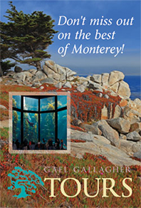 Don't Miss Out On The Best of Monterey